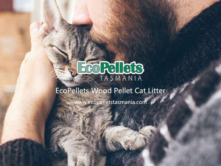 Cat Litter Wood Pellets