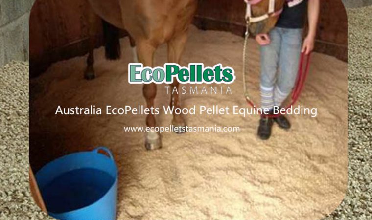 Wood Pellet Equine Bedding