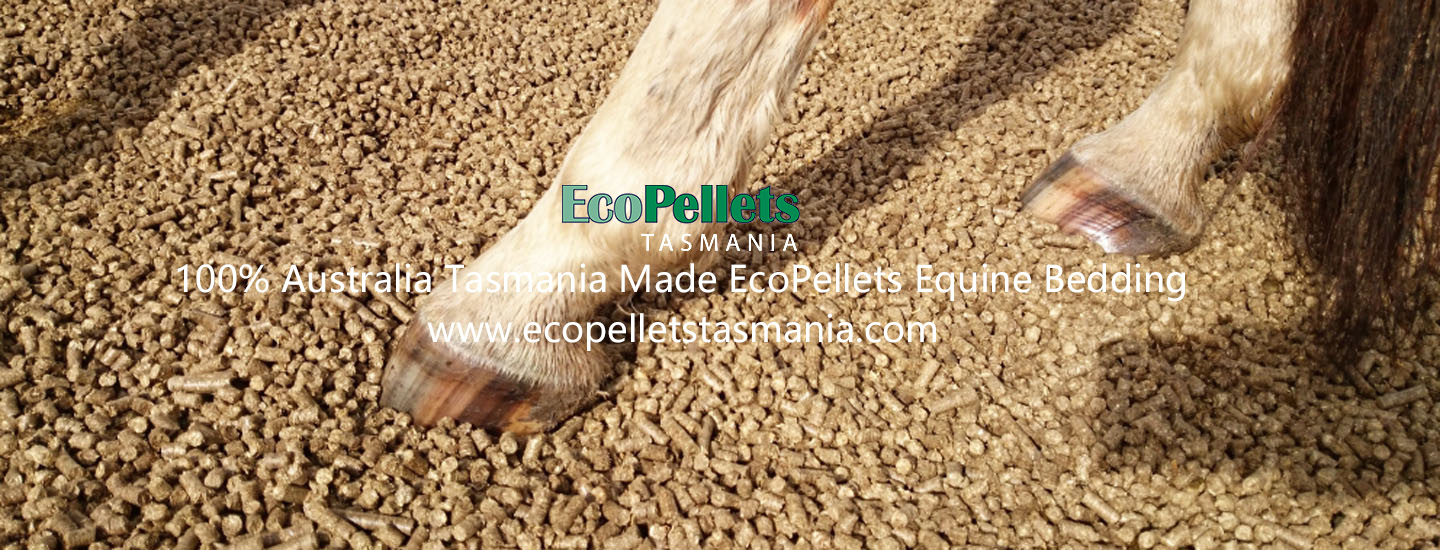 Equine Bedding, Wood Pellets EcoPellets Tasmania Wood Pellets