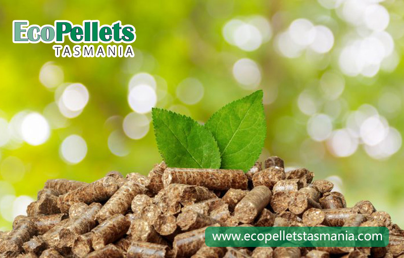 Wood Pellet Fuel: The Next Step In Green Living?