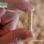 Wood-Pellets