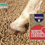 Equine Bedding