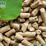 What is Biomass?