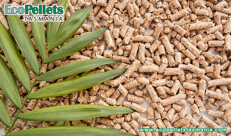 What you need to know about buying and burning pellets