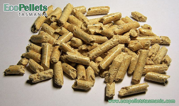 Can pellet fuel replace non-renewable energy?