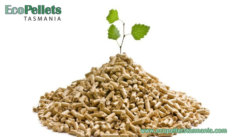 Pellet fuel for industrial heating – Clean energy product