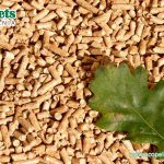 What are the benefits of using wood pellets as cat litter?