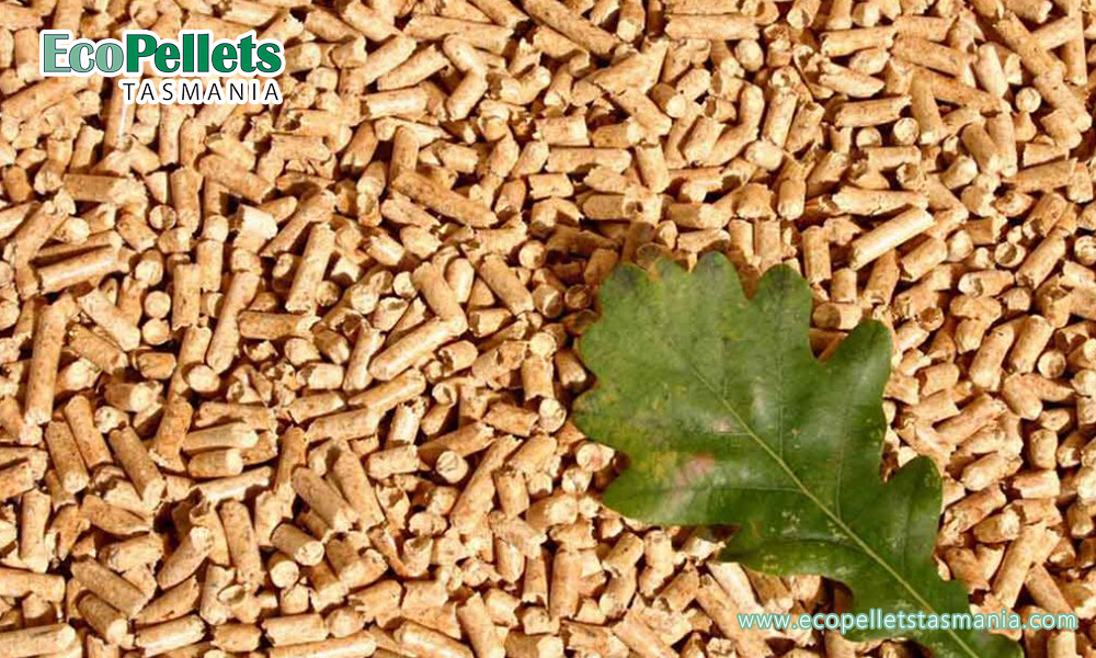 What are the benefits of using wood pellets as cat litter? EcoPellets