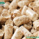 Several Questions About Wood Pellets You May Be Concerned