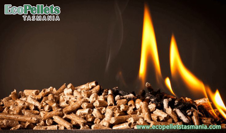 I Am Burning The Best Pellets This Year And So Should You!