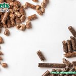 Information On Wood Pellets For Australians