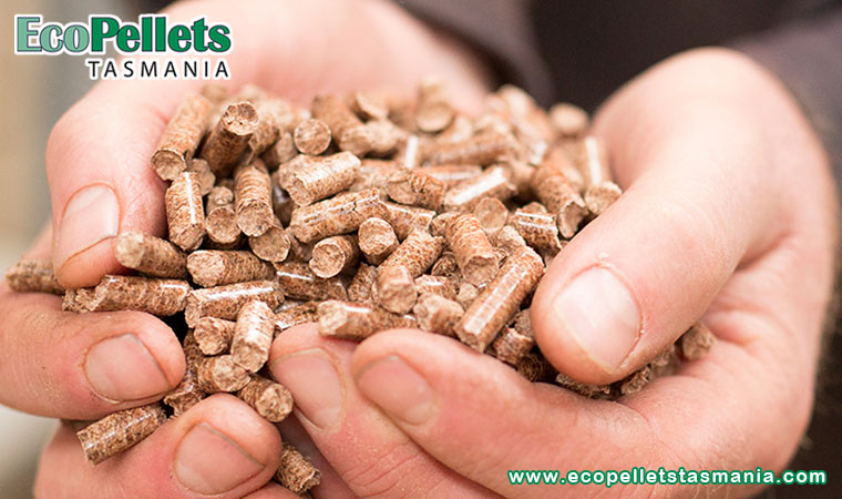 How Is Wood Pellet Fuel Made?