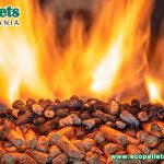 An Efficient And Sustainable Energy Source - Wood Pellet Fuel