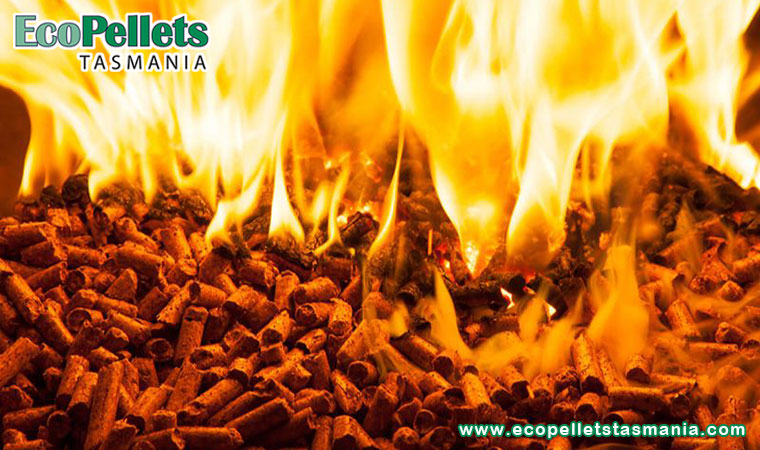 Are Wood Pellets Environmentally Friendly?