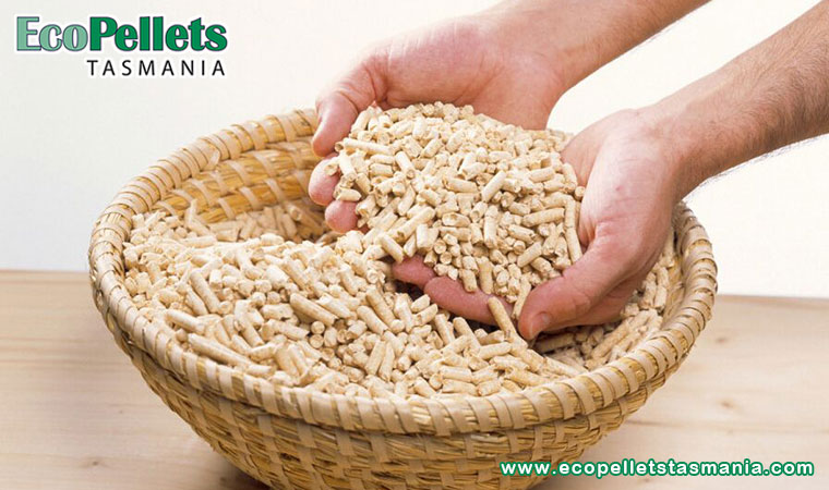 Are Wood Pellets Easy To Use And Store?