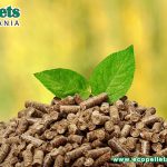 Can You Burn Wood Pellets In A Fireplace?