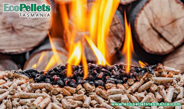 What Makes Wood Pellets A Green Alternative?