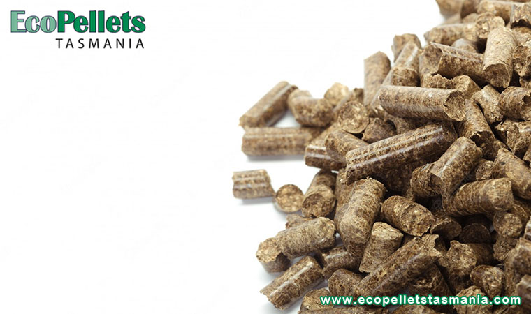 Why Choose Wood Pellets Over Other Energy Sources?