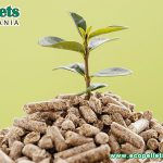 What Is Premium Wood Pellets?