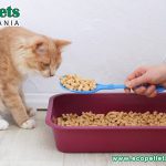 Nature's Litter - Cat Litter Wood Pellets