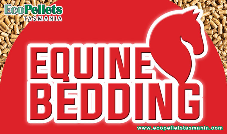 Choose Soft And Safe Bedding For Your Equines