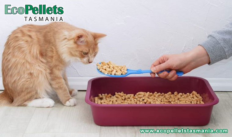 Nature's Litter - Cat Litter Wood Pellets