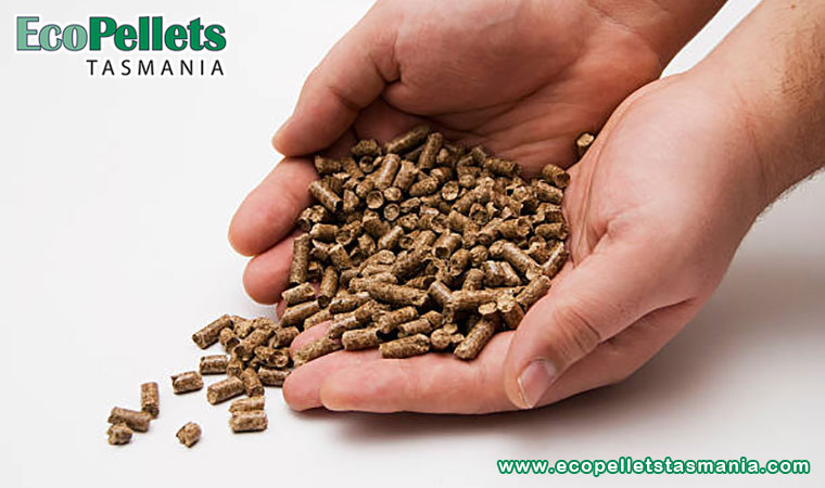 Choose Soft And Safe Bedding For Your Equines