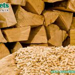 What Are The Best Horse Bedding Pellets?