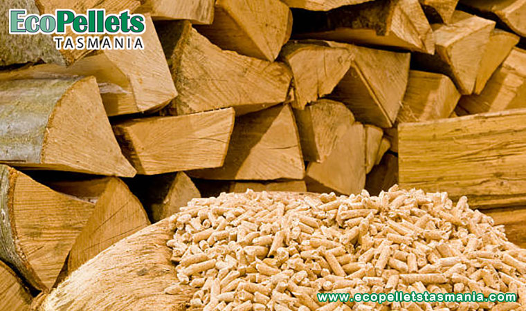 What Are The Best Horse Bedding Pellets?