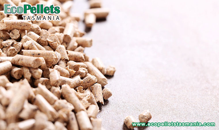 Equine Bedding Pellets - Safe, Effective, and Cheap for Everyone