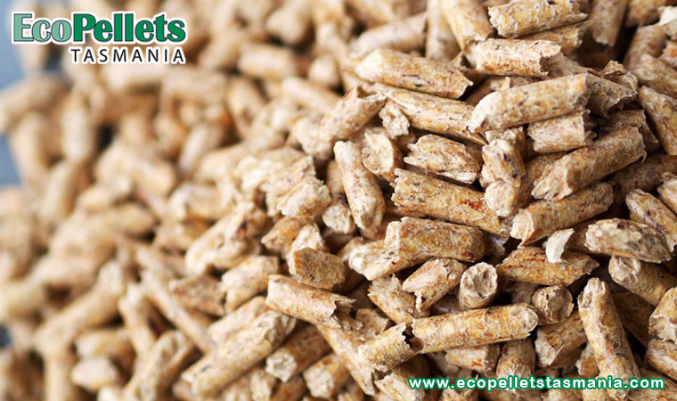Picking The Perfect Pellet