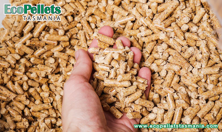 Tips For Grilling With BBQ Pellets