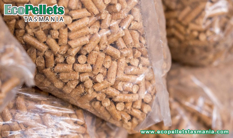 Picking The Perfect Pellet