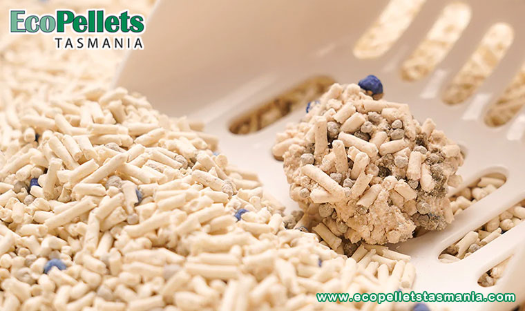 Cat Litter Pellets Help Better Manage Litter Odor