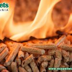 Which BBQ Pellets Are Best For Smoking?