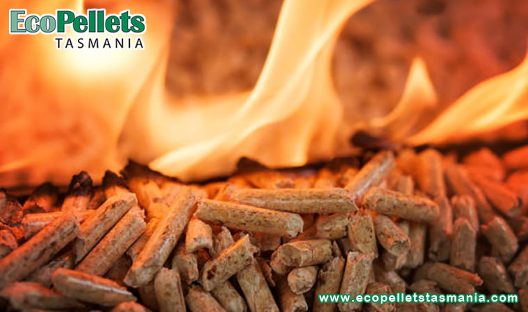 Which BBQ Pellets Are Best For Smoking?