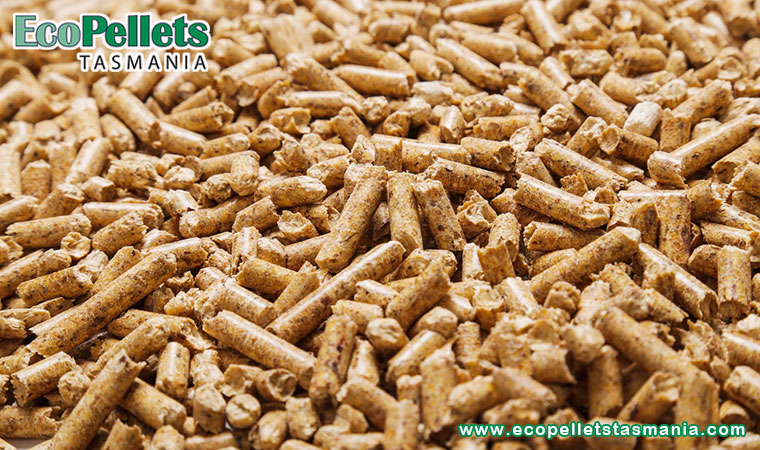 Equine Bedding Pellets - Safe, Effective, and Cheap for Everyone