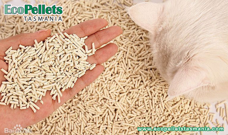 Do wood pellets for cat litter help reduce house dust?