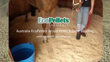 Wood Pellet Equine Bedding