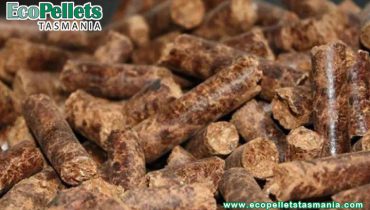 Why is wood pellets pellet fuel a product of sustainable development?